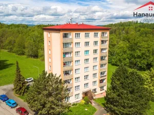 Prodej bytu 2+1, Cheb, Družstevní, 51 m2