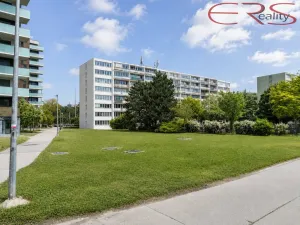 Prodej bytu 2+kk, Praha - Karlín, Nekvasilova, 40 m2