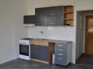 Pronájem bytu 1+1, České Budějovice, Lipenská, 42 m2