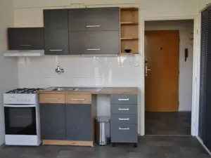 Pronájem bytu 1+1, České Budějovice, Lipenská, 42 m2