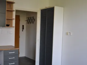 Pronájem bytu 1+1, České Budějovice, Lipenská, 42 m2