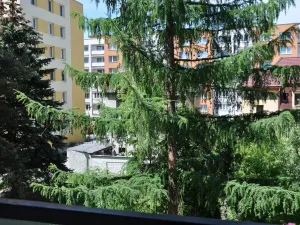 Pronájem bytu 1+1, České Budějovice, Lipenská, 42 m2