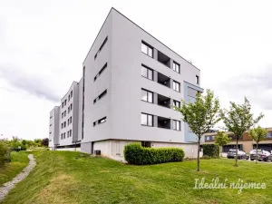 Pronájem bytu 2+kk, Praha - Černý Most, Mrázkova, 50 m2