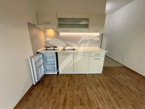 Pronájem bytu 1+kk, Plzeň, Boettingerova, 19 m2