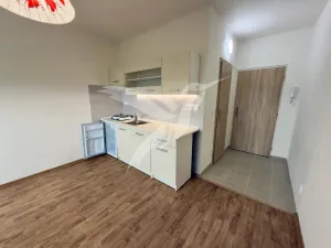 Pronájem bytu 1+kk, Plzeň, Boettingerova, 19 m2