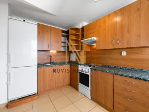 Pronájem bytu 1+1, Štěnovice, Čižická, 44 m2