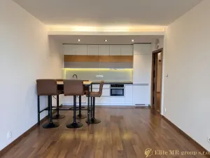 Pronájem bytu 2+kk, Mladá Boleslav, Na Radouči, 60 m2