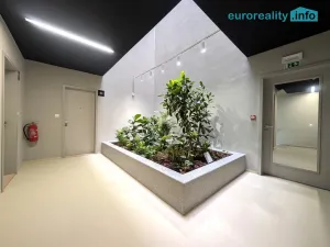 Pronájem bytu 2+kk, Plzeň, Zahradní, 70 m2