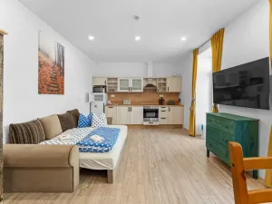Prodej bytu 1+kk, Desná, Údolní, 29 m2