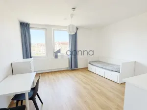 Pronájem bytu 1+kk, Praha, Perucká, 30 m2