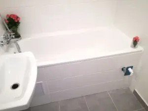 Prodej bytu 2+kk, Ostrava - Moravská Ostrava, Zelená, 45 m2