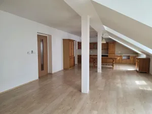 Pronájem bytu 3+kk, Plzeň, Božkovská, 102 m2