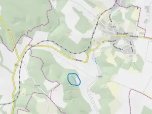 Prodej lesa, Silůvky, 1519 m2