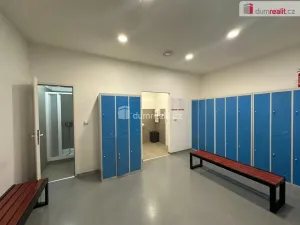 Pronájem skladu, Břeclav, Na Hrůdách, 3000 m2