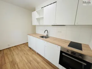 Pronájem bytu 2+1, Most, Maxe Švabinského, 53 m2