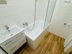 Pronájem bytu 2+1, Most, Maxe Švabinského, 53 m2
