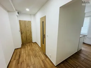 Pronájem bytu 2+1, Most, Maxe Švabinského, 53 m2