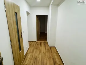 Pronájem bytu 2+1, Most, Maxe Švabinského, 53 m2
