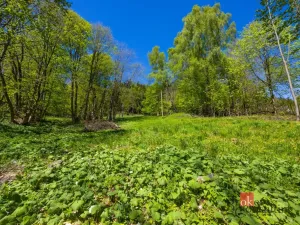 Prodej pozemku pro bydlení, Dolní Morava - Horní Morava, 1045 m2