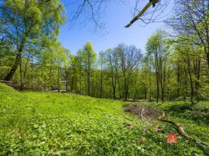 Prodej pozemku pro bydlení, Dolní Morava - Horní Morava, 1045 m2
