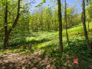 Prodej pozemku pro bydlení, Dolní Morava - Horní Morava, 1045 m2