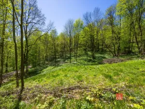 Prodej pozemku pro bydlení, Dolní Morava - Horní Morava, 1045 m2