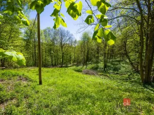 Prodej pozemku pro bydlení, Dolní Morava - Horní Morava, 1045 m2