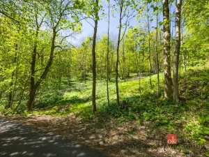 Prodej pozemku pro bydlení, Dolní Morava - Horní Morava, 1045 m2