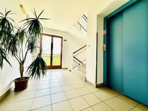 Prodej bytu 2+1, Písek - Budějovické Předměstí, Budějovická, 59 m2