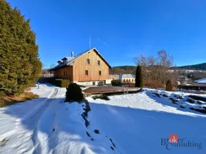 Prodej ubytování, Želnava, 1110 m2