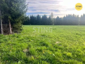 Prodej louky, Raškovice, 8800 m2