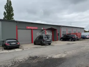 Pronájem obchodního prostoru, Chomutov, Raisova, 189 m2