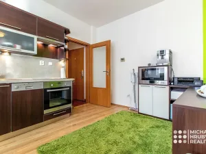 Pronájem bytu 1+kk, Ostrava, Michálkovická, 34 m2