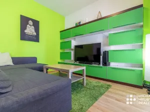 Pronájem bytu 1+kk, Ostrava, Michálkovická, 34 m2