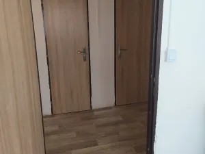 Pronájem bytu 2+1, Chodov, Budovatelů, 54 m2