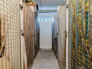 Prodej bytu 3+1, Brno, Vídeňská, 76 m2
