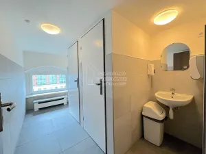 Pronájem kanceláře, Praha - Karlín, Thámova, 16 m2