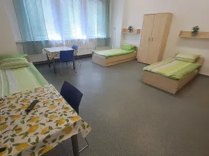Pronájem bytu 1+kk, Hranice - Hranice I-Město, Potštátská, 30 m2