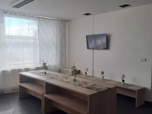 Pronájem bytu 1+kk, Hranice - Hranice I-Město, Potštátská, 30 m2