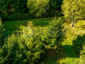 Prodej pozemku pro bydlení, Liberec, 1147 m2