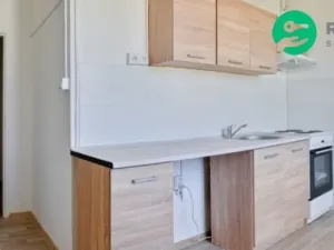 Pronájem bytu 2+1, Most, Maxe Švabinského, 55 m2