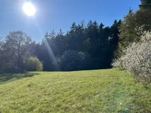 Prodej pozemku pro bydlení, Lažánky, 3287 m2