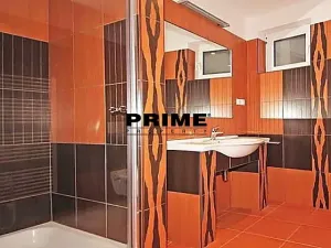 Pronájem rodinného domu, Praha - Střešovice, Nad hradním vodojemem, 350 m2