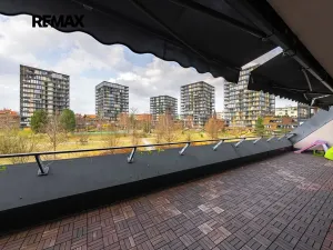 Pronájem bytu 5+kk, Praha - Žižkov, Pitterova, 254 m2