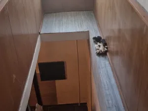 Prodej ostatní, Kobylí