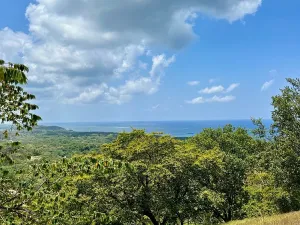 Prodej pozemku, Coxen Hole, Roatán, Honduras, 740 m2