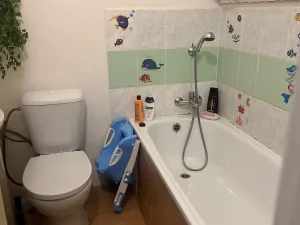 Prodej rodinného domu, Chabařovice, V Aleji, 280 m2