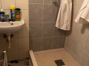 Prodej rodinného domu, Chabařovice, V Aleji, 280 m2