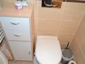 Pronájem bytu 1+kk, Praha - Hostivař, Bratislavská, 36 m2