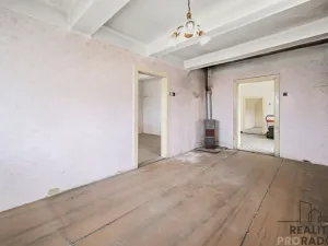Prodej pozemku pro bydlení, Slepotice, 4338 m2